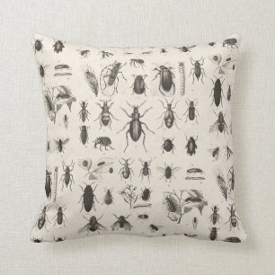 Antieke insecten Entomologie Kussen