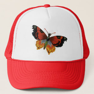 Antieke insecten of beestjes, mooie vlinder trucker pet