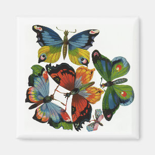 Antieke insecten of beestjes, mooie vlinders magneet