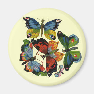 Antieke insecten of beestjes, mooie vlinders magneet