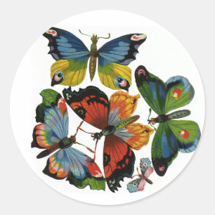 Antieke insecten of beestjes, mooie vlinders ronde sticker