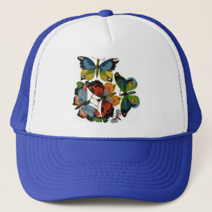 Antieke insecten of beestjes, mooie vlinders trucker pet