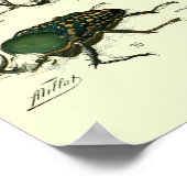 Antieke Insecten Poster (Hoek)