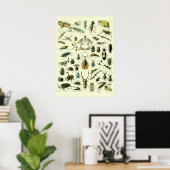 Antieke Insecten Poster (Thuiskantoor)