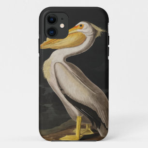 Antieke John James Audubon Witte Pelikaan Kust Case-Mate iPhone Case