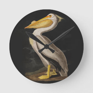 Antieke John James Audubon Witte Pelikaan Kust Ronde Klok