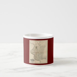Antieke kaart van Reading PA 1877 Espresso Kop
