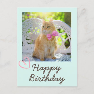 Antieke Kat in het Lint en Gelukkig Verjaardag Briefkaart