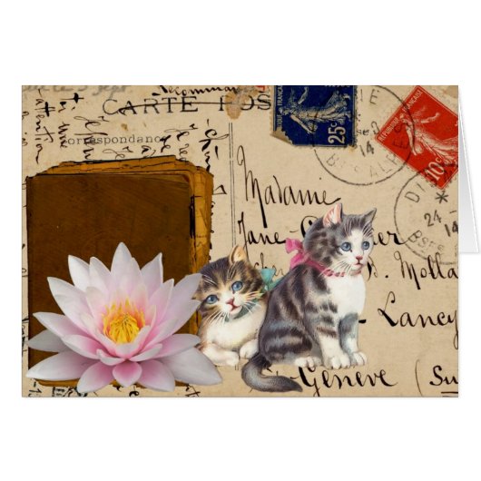 Antieke Katten en Boek (Voorkant Horizontaal)