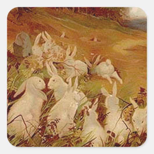 Antieke Konijnen Vierkante Sticker (Voorkant)