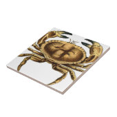 Antieke Krab Tegeltje (Zijkant)