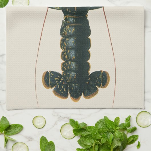 Antieke kreeft, mariene oceaanleven schaaldier theedoek (Gevouwen)