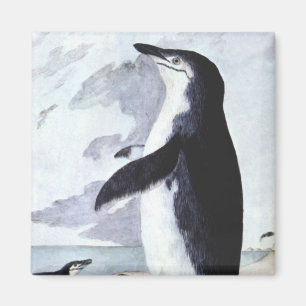 Antieke Kuifpinguïn, Vogels uit Antarctica Magneet