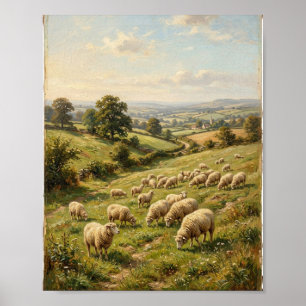 Antieke landelijke boerderij schapen lammeren weid poster