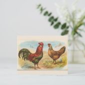 Antieke "Leghorn Kippen" Briefkaart (Staand voorkant)