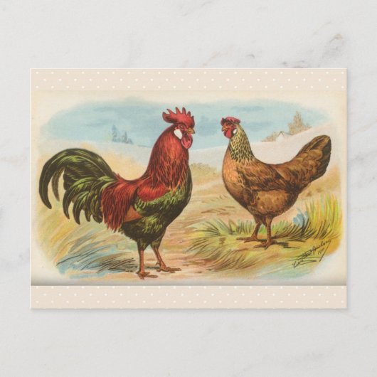 Antieke "Leghorn Kippen" Briefkaart (Voorkant)