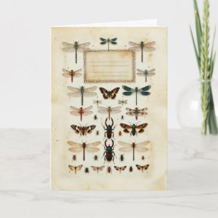 Antieke Libelle Keversoorten Taxonomie Specimenove Kaart