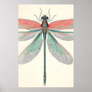 Antieke Libelle Kunstprint Botanische Natuur Poster