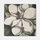 Antieke Magnolia Magneet (Voorkant)