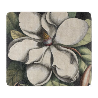 Antieke Magnolia Snijplank