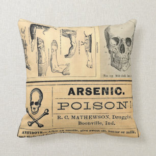 Antieke Medische Schedel Vergif Anatomie Kussen