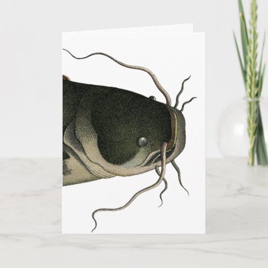 Antieke Meerval, Moederdag Kaart (Voorkant)