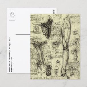 Antieke Menselijke Anatomie Keelbeen Been Leonardo Briefkaart