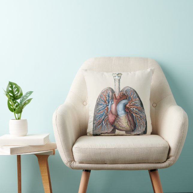 Antieke Menselijke Anatomie Longen Hart Organen Bl Kussen (Stoel)