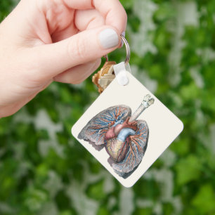 Antieke Menselijke Anatomie Longen Hart Organen Bl Sleutelhanger