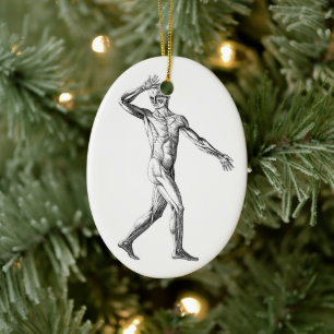Antieke Menselijke Anatomie, Mannelijke Lichaams S Keramisch Ornament
