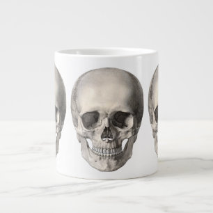 Antieke menselijke anatomie schedel, Halloween ske Grote Koffiekop