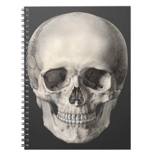 Antieke menselijke anatomie schedel, Halloween ske Notitieboek