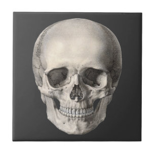 Antieke menselijke anatomie schedel, Halloween ske Tegeltje