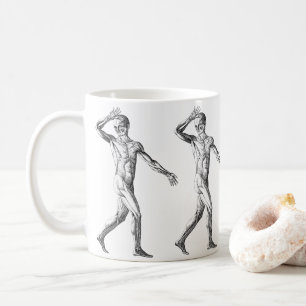 Antieke Menselijke Anatomie, Spieren van het Manne Koffiemok