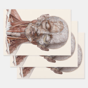 Antieke menselijke anatomie wetenschap, hoofd keel inpakpapier vel