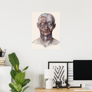 Antieke menselijke anatomie wetenschap, hoofd keel poster