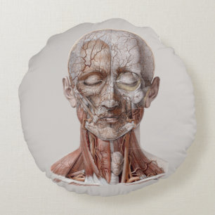 Antieke menselijke anatomie wetenschap, hoofd keel rond kussen