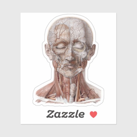 Antieke menselijke anatomie wetenschap, hoofd keel sticker (Vel)