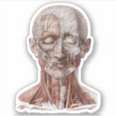 Antieke menselijke anatomie wetenschap, hoofd keel sticker (Voorkant)