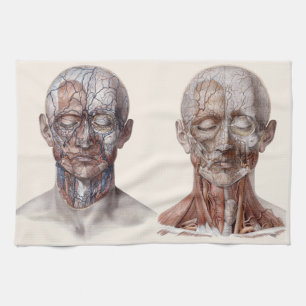 Antieke menselijke anatomie wetenschap, hoofd keel theedoek