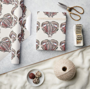 Antieke menselijke anatomie wetenschap, Oogbollen  Cadeaupapier