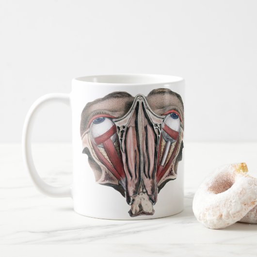 Antieke menselijke anatomie wetenschap, Oogbollen Koffiemok (Met donut)