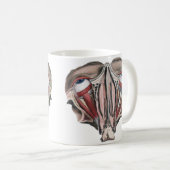 Antieke menselijke anatomie wetenschap, Oogbollen Koffiemok (Voorkant rechts)