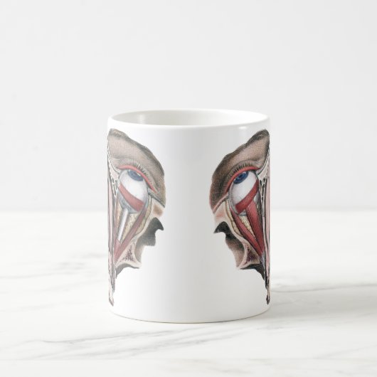 Antieke menselijke anatomie wetenschap, Oogbollen  Koffiemok (Center)