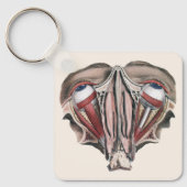 Antieke menselijke anatomie wetenschap, Oogbollen Sleutelhanger (Voorkant)