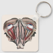 Antieke menselijke anatomie wetenschap, Oogbollen Sleutelhanger (Achterkant)