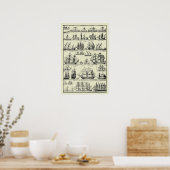 Antieke Nautilus Zeilschepen Kaart Poster (Keuken)
