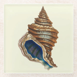 Antieke Nautische George Shaw Blauwe Conch Schelp  Glazen Onderzetter