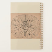 Antieke neurologische tekening - Dokters Planner (Achterkant)