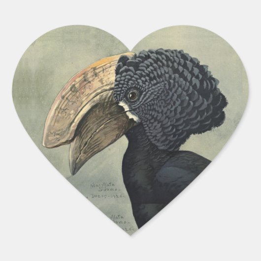 Antieke neushoornvogel vogel schildering hart sticker (Voorkant)